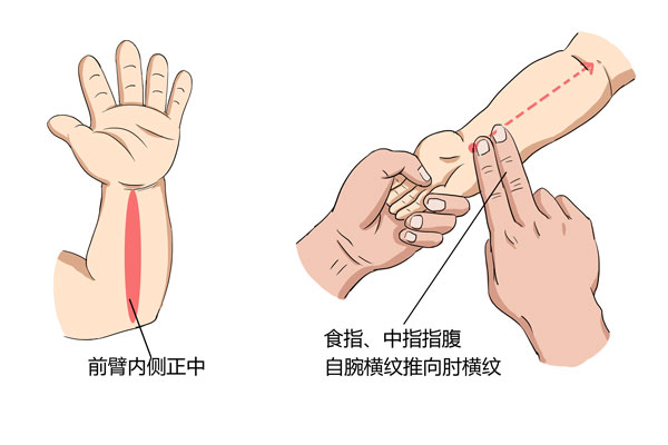 小儿推拿发烧退热手法——清天河水