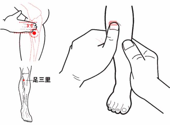 按摩足三里的功效和作用